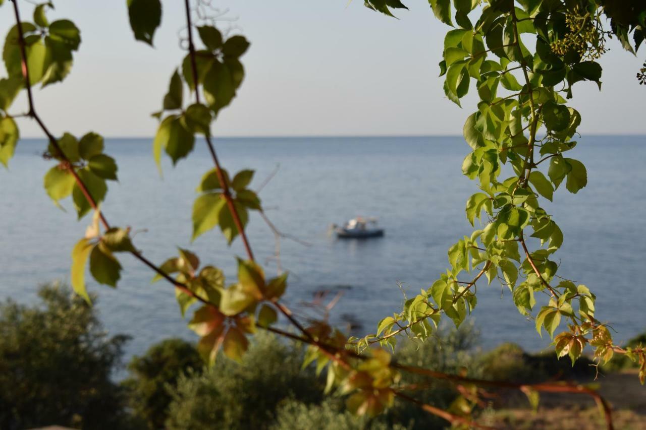 Alexandros Seaside Family Apartments & Villas - Paradise, 7' From Petalidi Kalamaki  Exterior photo
